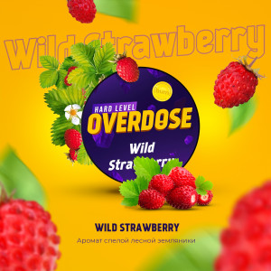 OverdoseWild Strawberry