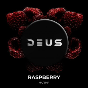 DEUSRaspberry