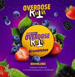 OverdoseBrumblebee